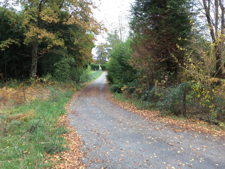 Ganzes Haus Compreignac 214832-4