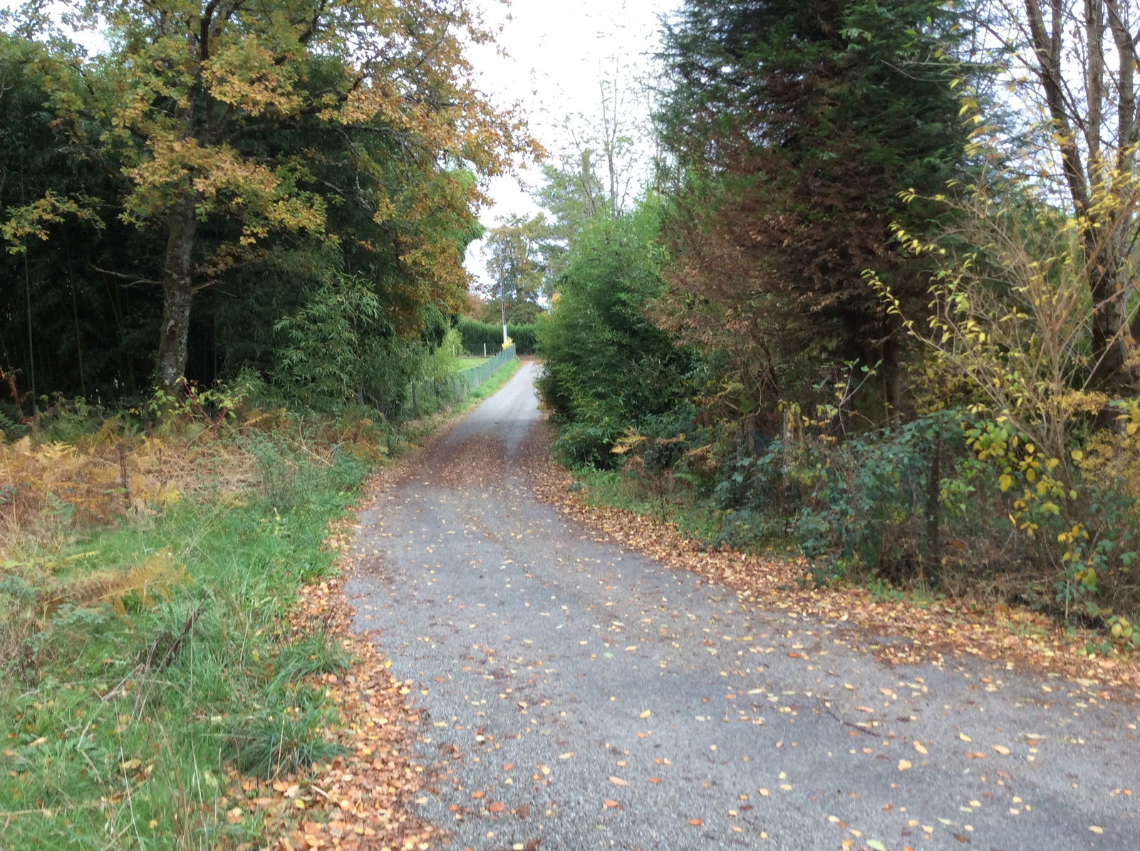 Estudio Independiente Compreignac 214832