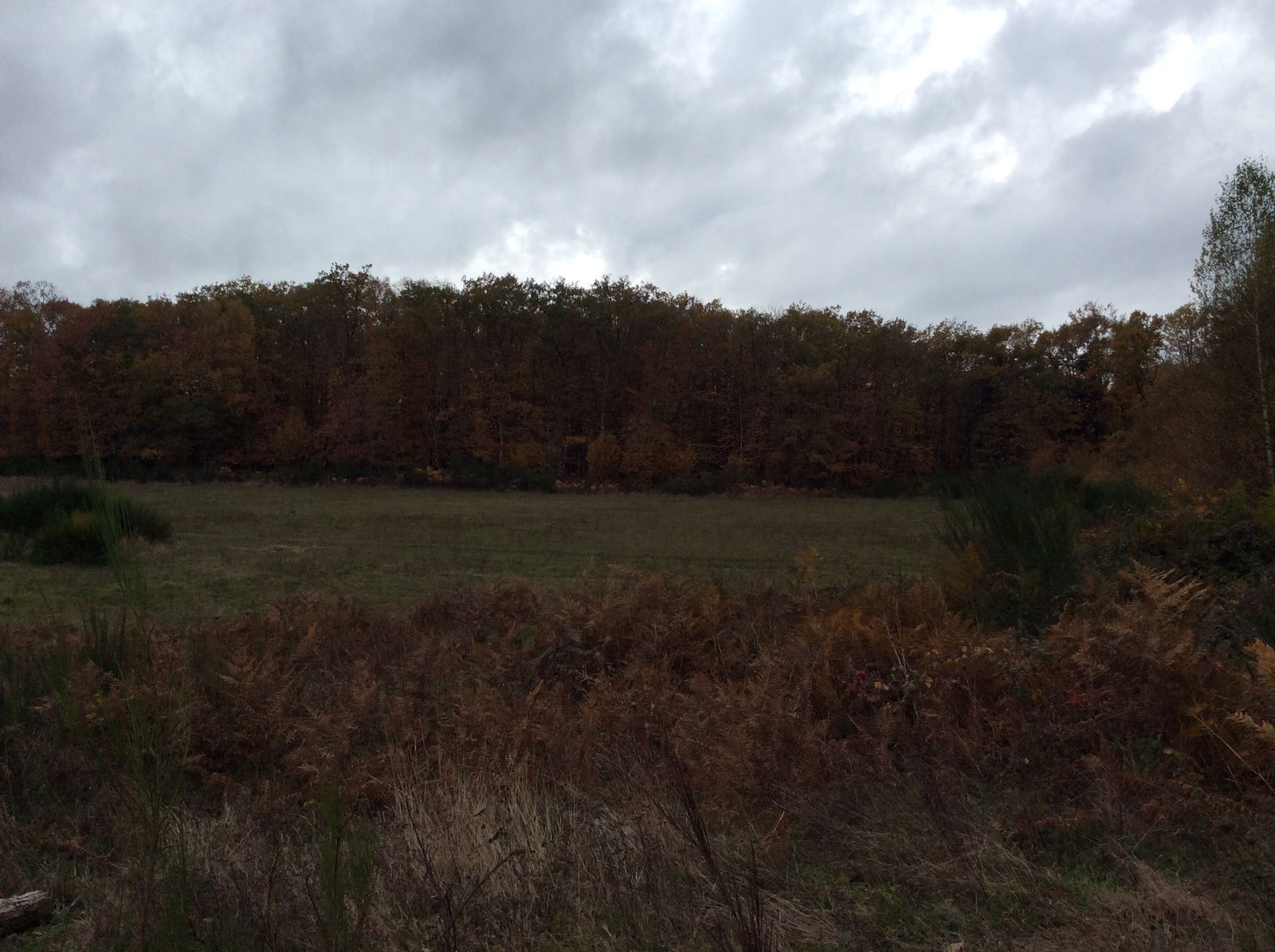 Tutta La Casa Compreignac 214832