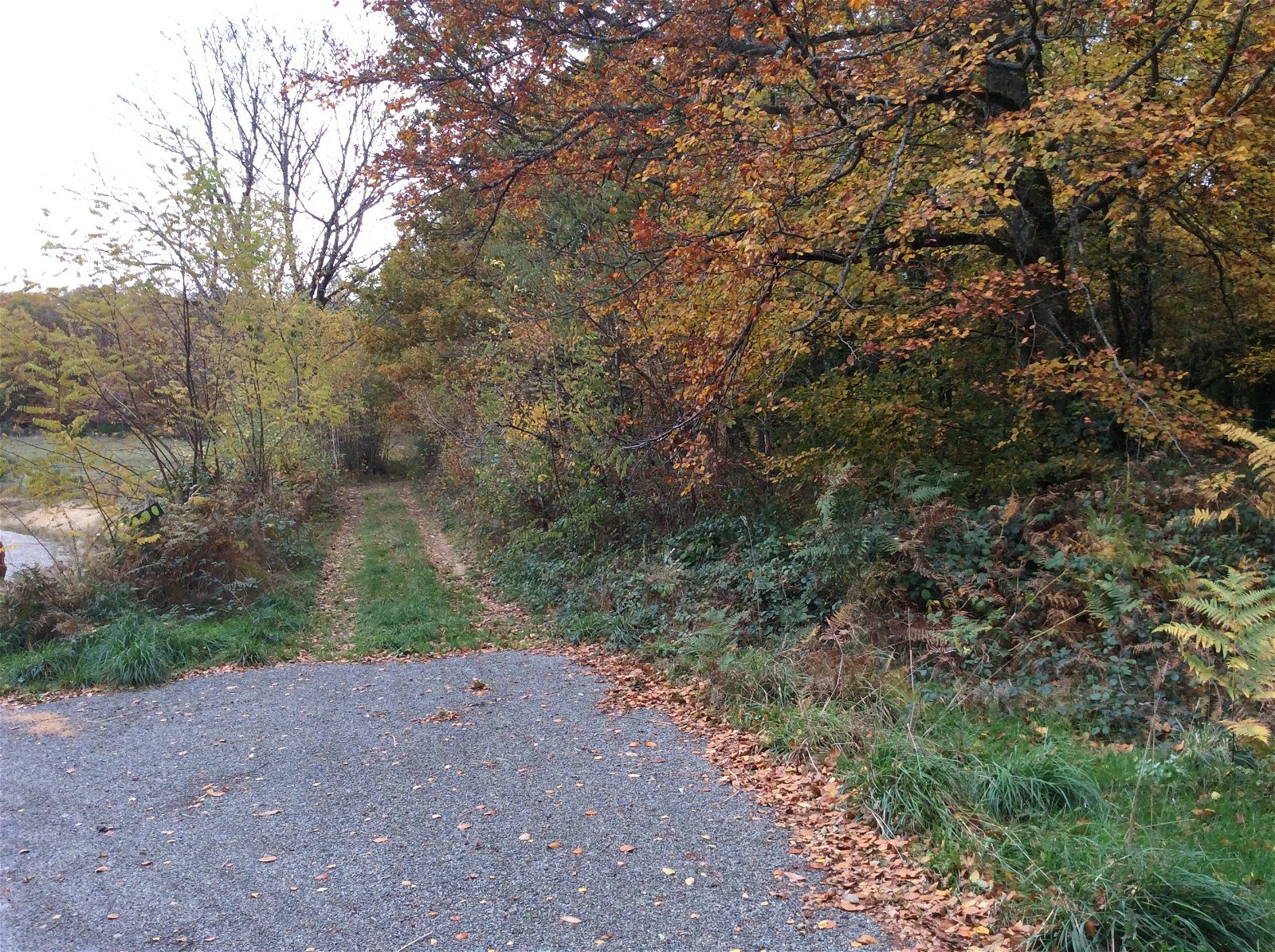 Studio Indépendant Compreignac 214832