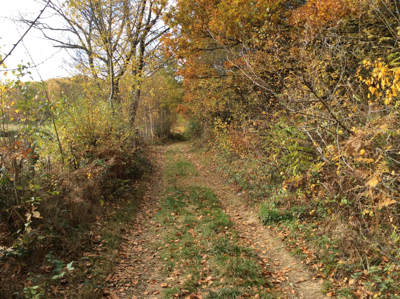 Estúdio Independente Compreignac 215312