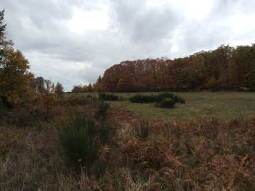 Logement Entier Compreignac 202686-10