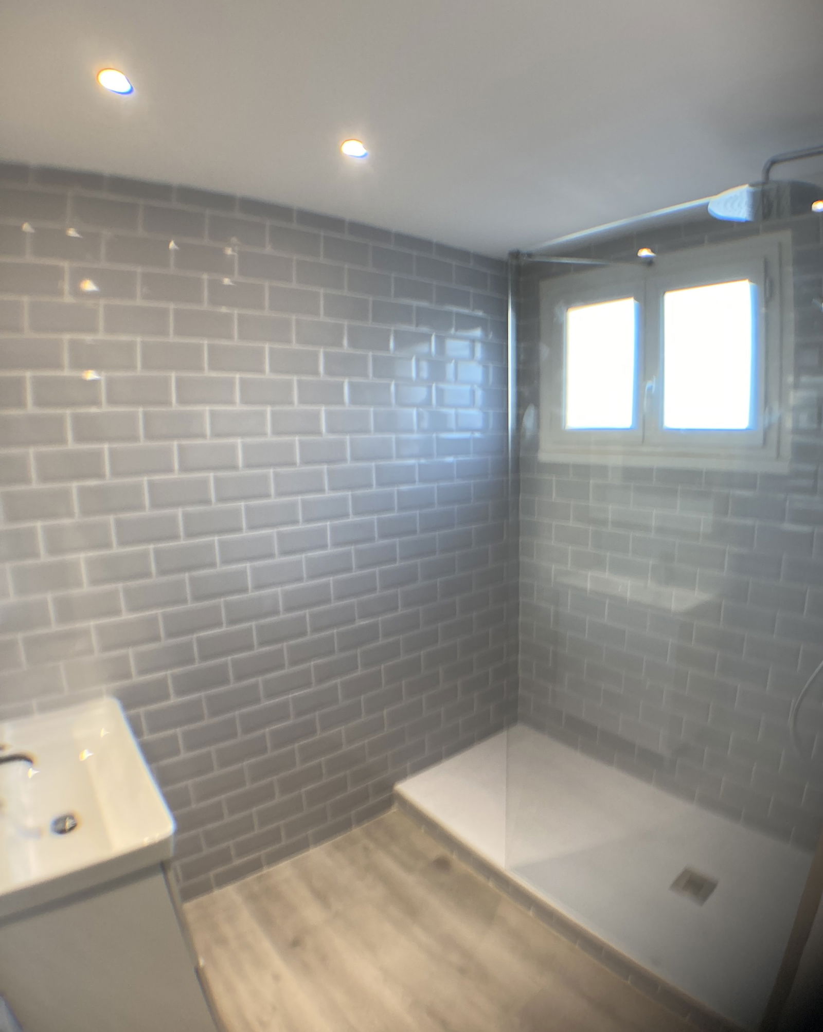 Famiglia Avignon 357366