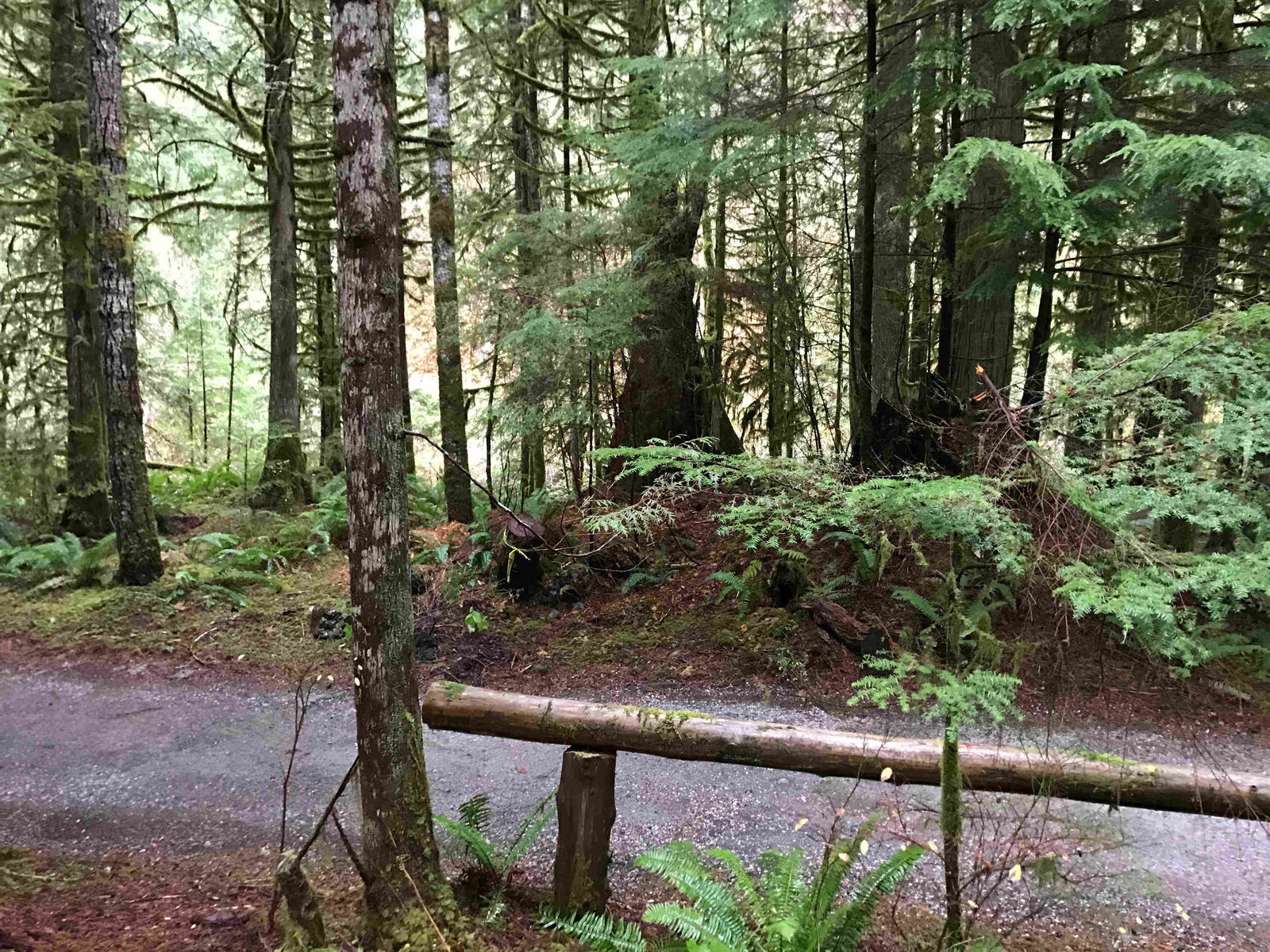 Tutta La Casa Deming 206137