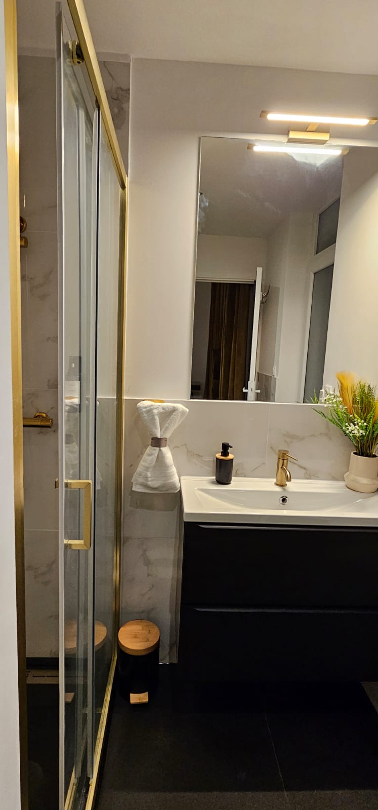 Colocation Lille 501395