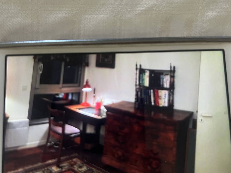 Chambre Chez L'habitant Ferney-Voltaire 669066-2