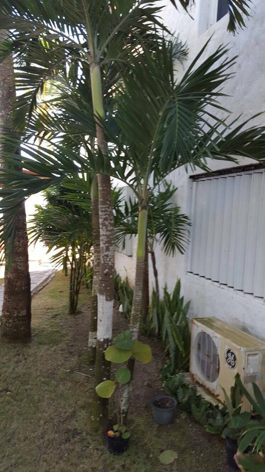 Tutta La Casa Playa Juan Dolio 181610