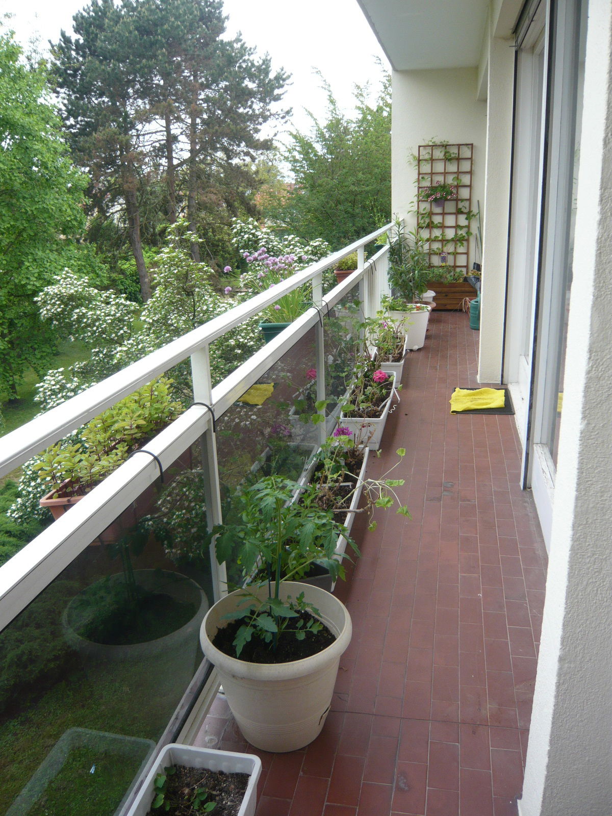 Famiglia Illkirch-Graffenstaden 257402