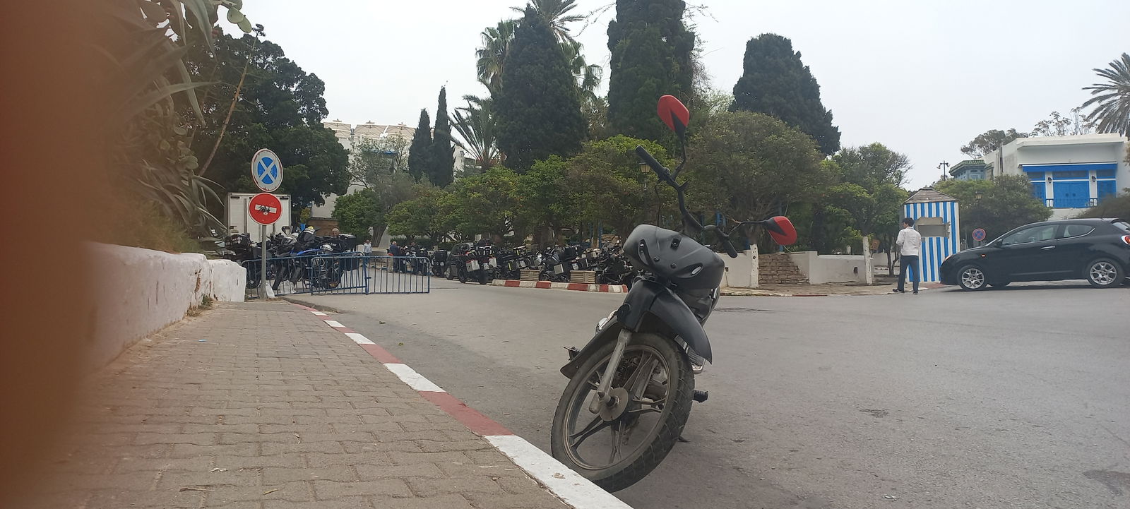 Famiglia Site archéologique de Carthage 203402