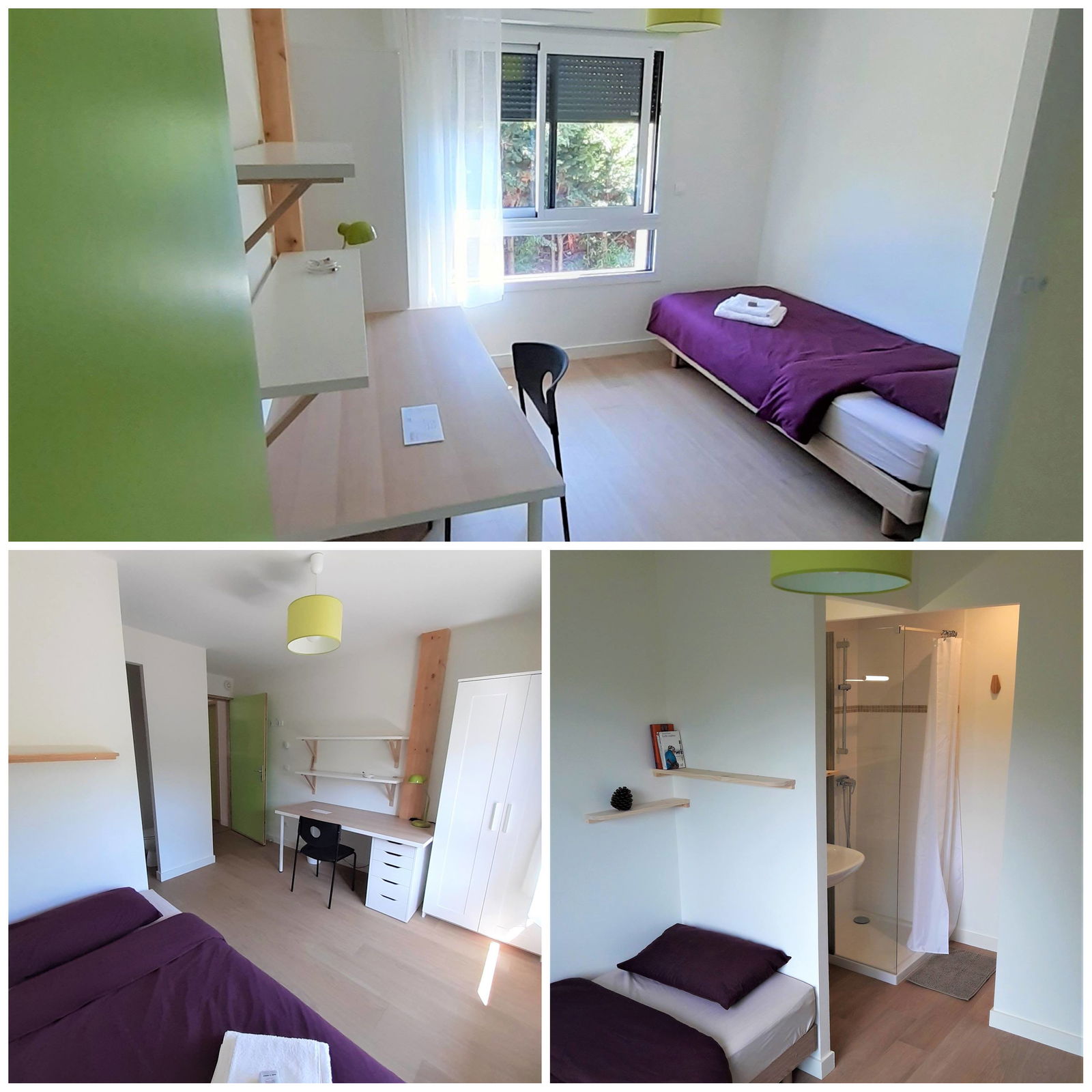 Famiglia Pessac 235307