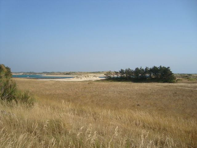 Tutta La Casa Surtainville 34533