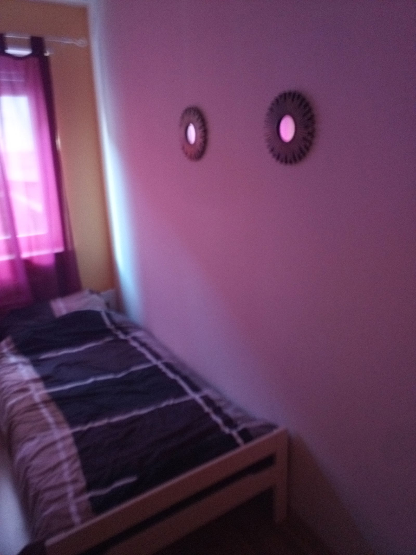 Estudio Independiente MA 241909