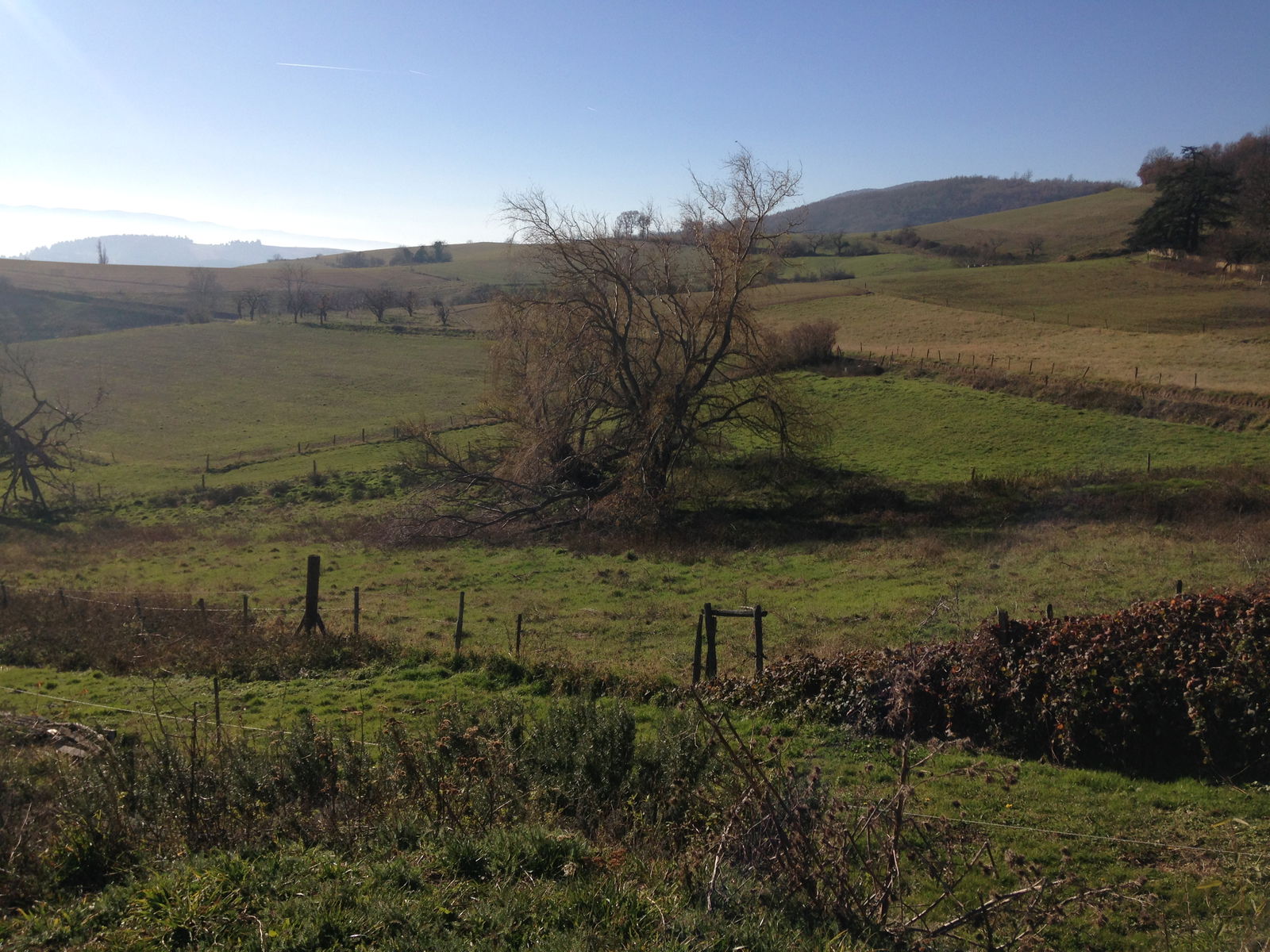 Entire Home Chaussan 461205