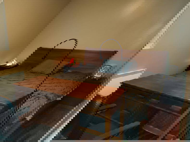 Coliving Ottawa 457842-4