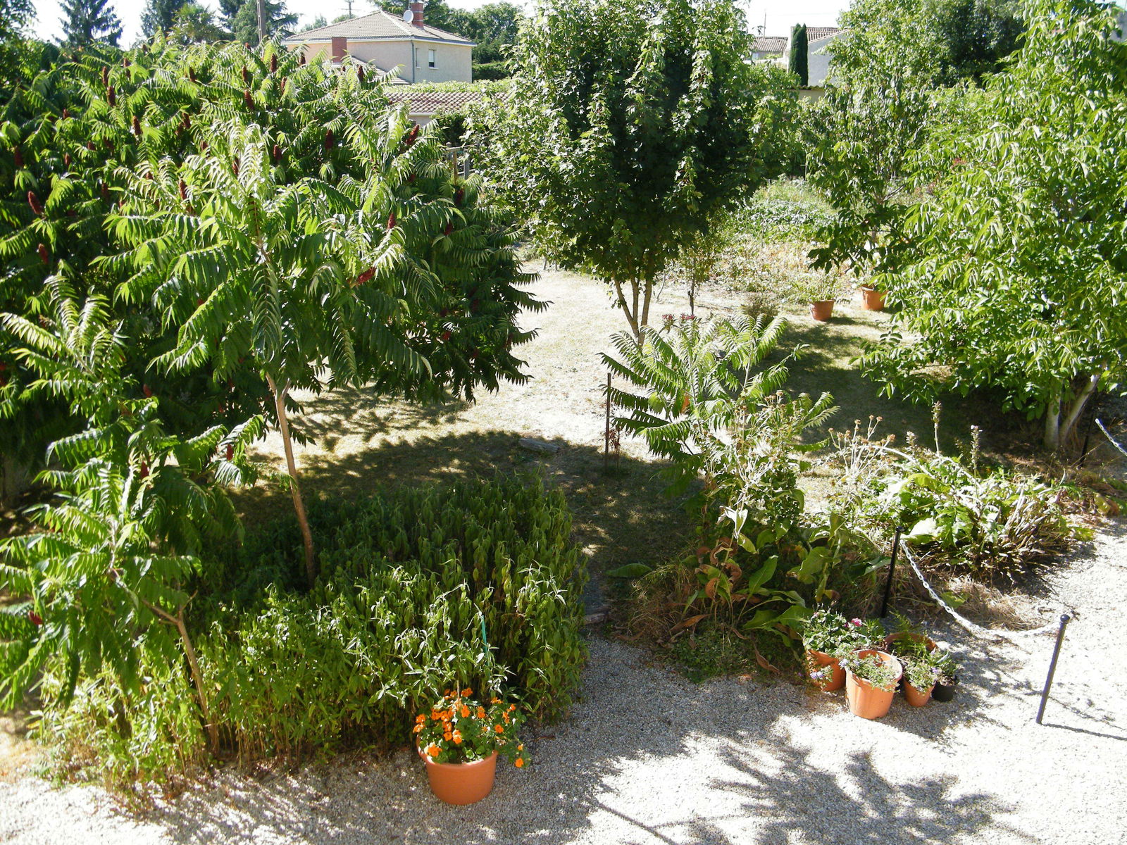 Homestay Antigny 60363