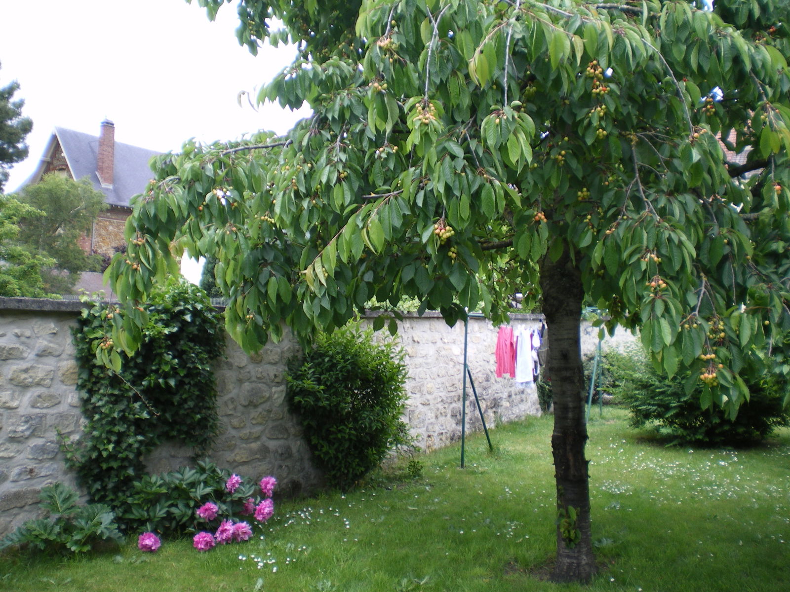 Colocatie Les Mureaux 102135