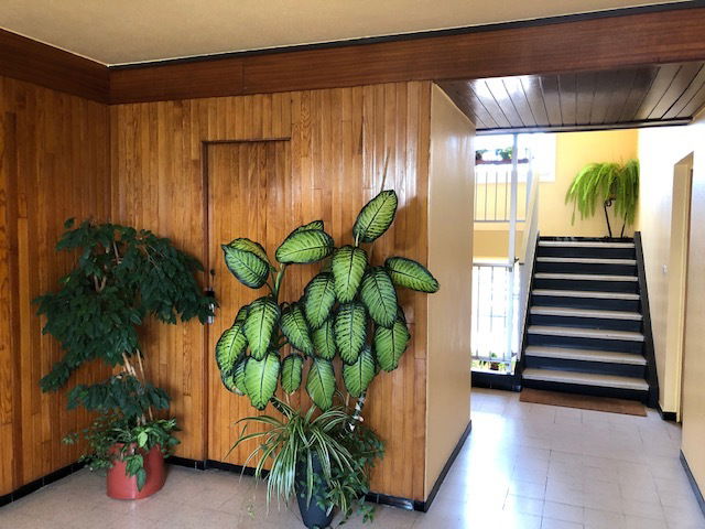 Colocatie Vandœuvre-lès-Nancy 236384