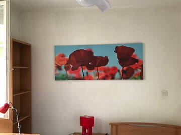 Logement Entier Caluire-Et-Cuire 226736-6