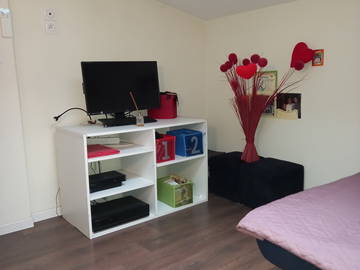 Habitación En Alquiler Feyzin 492979