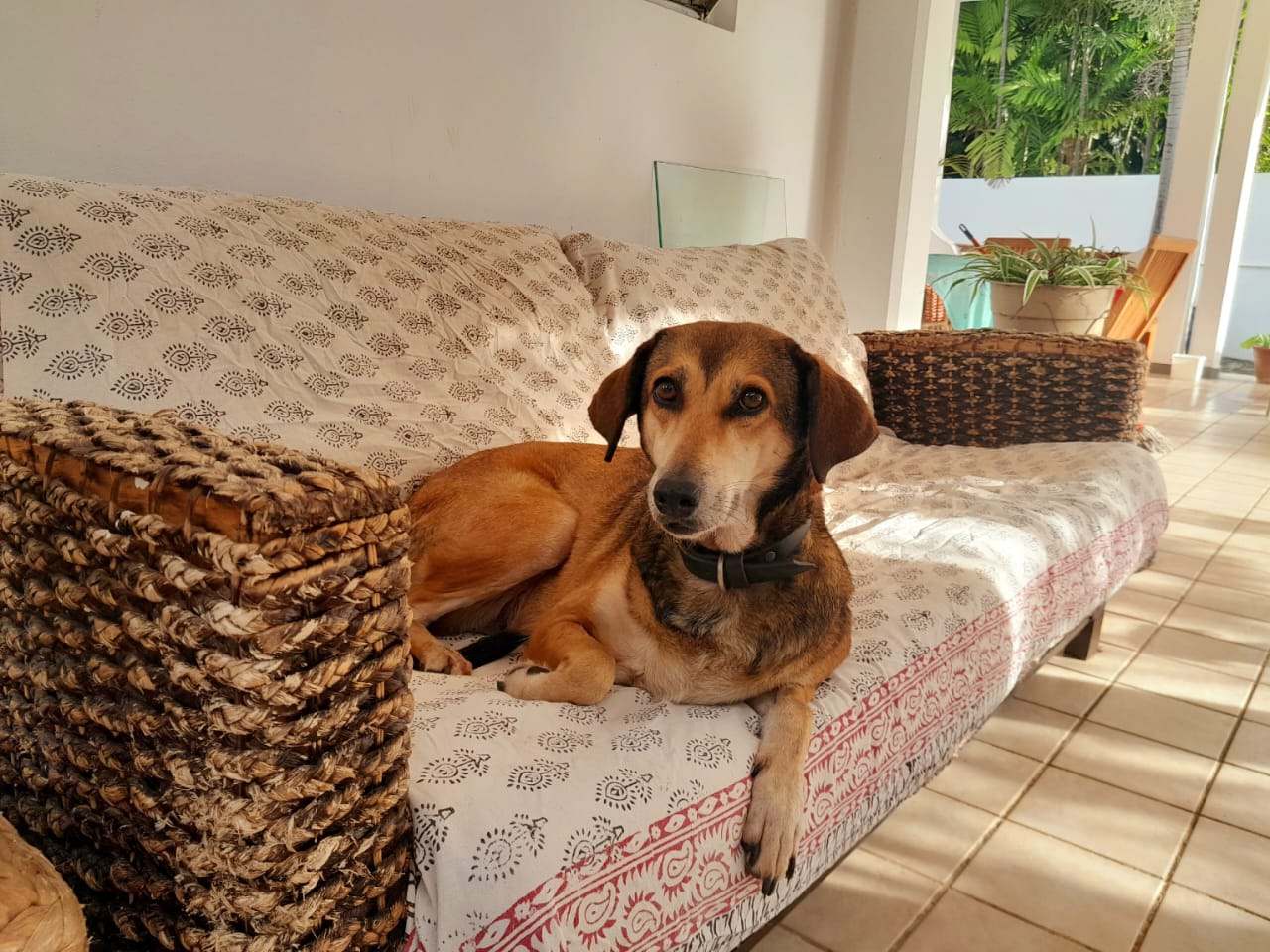 Hospedagem Em Casa De Família Trou-aux-Biches 397466