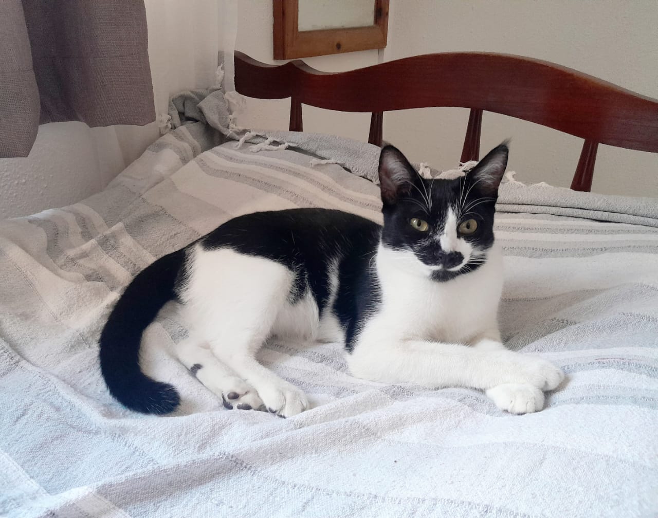 Gastfamilie Trou-aux-Biches 397466