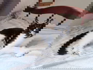 Chambre Chez L'habitant Trou-Aux-Biches 397466-13