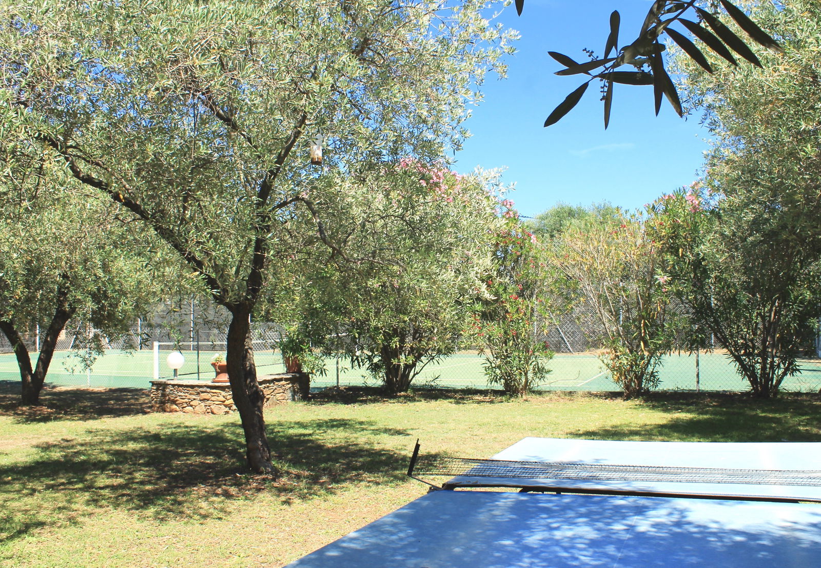 Estudio Independiente Venzolasca 51574