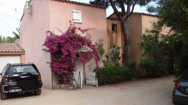 Estudio Independiente Calvi 148400
