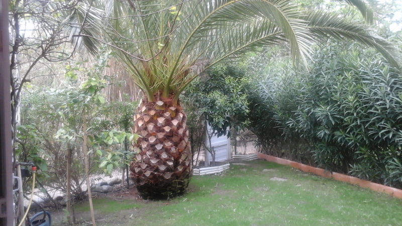 Estudio Independiente Calvi 148400