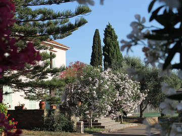 Chambre D'hôte Venzolasca 51607-10