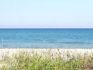 Chambre D'hôte Venzolasca 51607-12