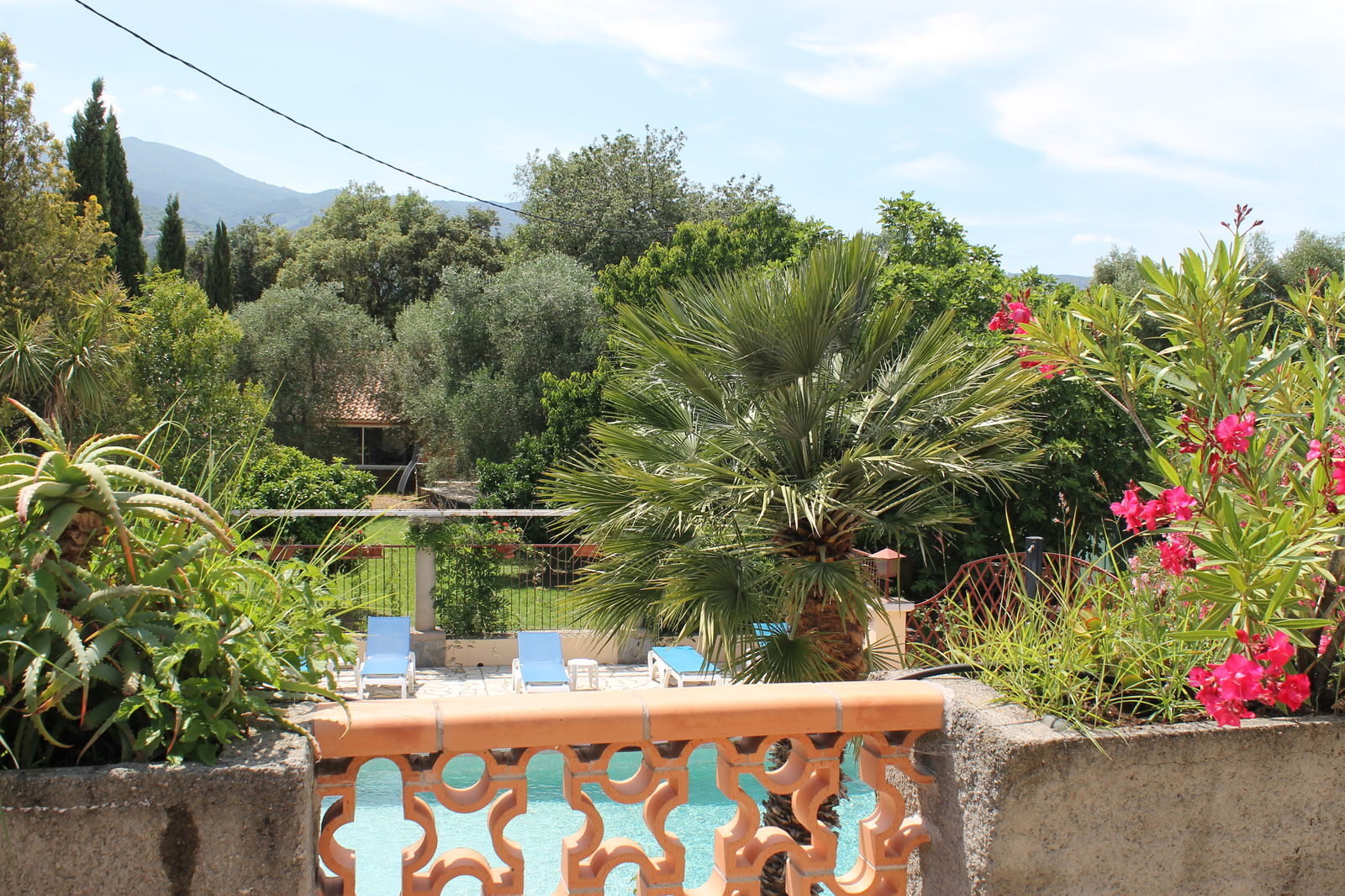 Tutta La Casa Venzolasca 51574