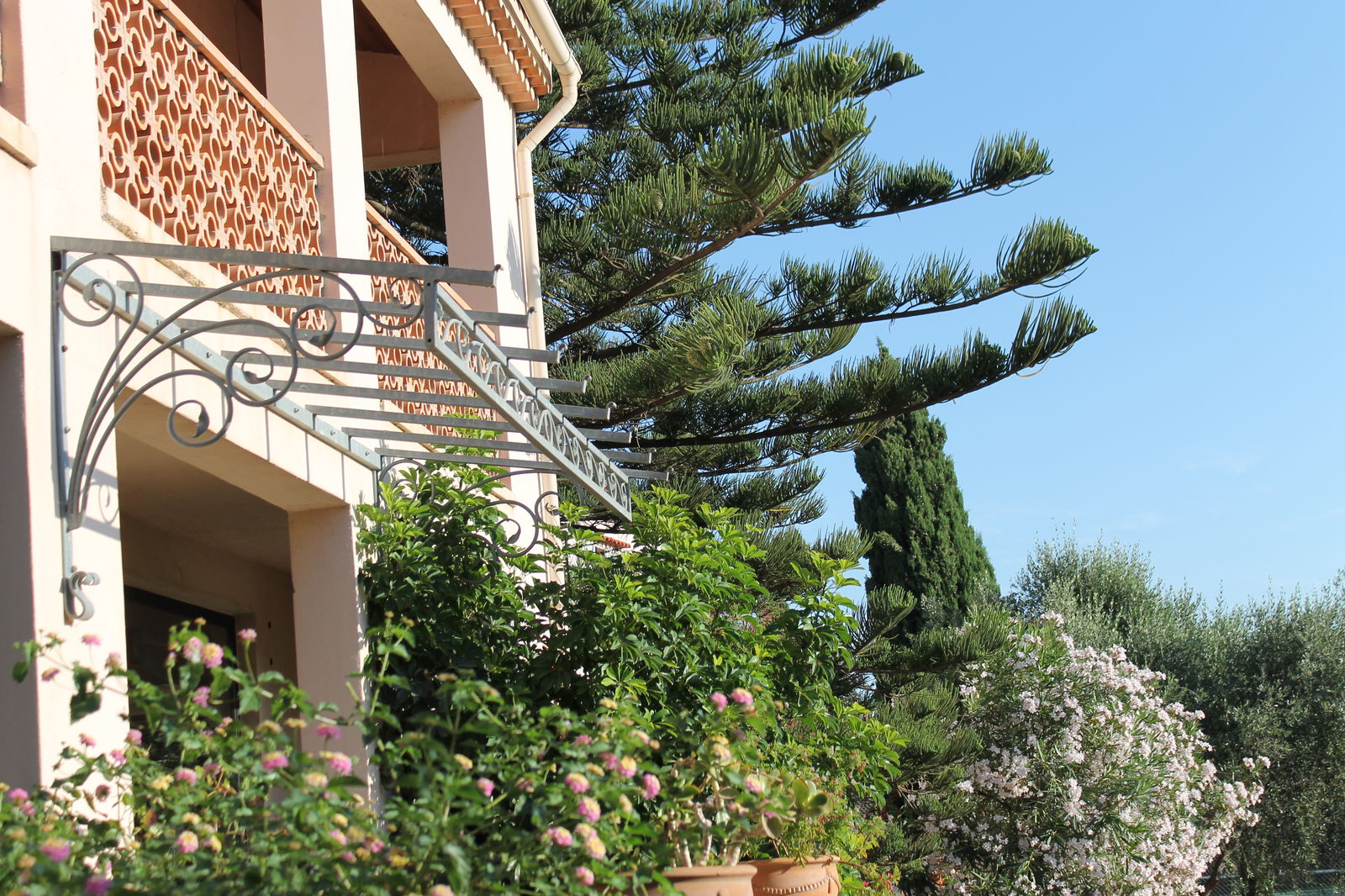 Tutta La Casa Venzolasca 51574