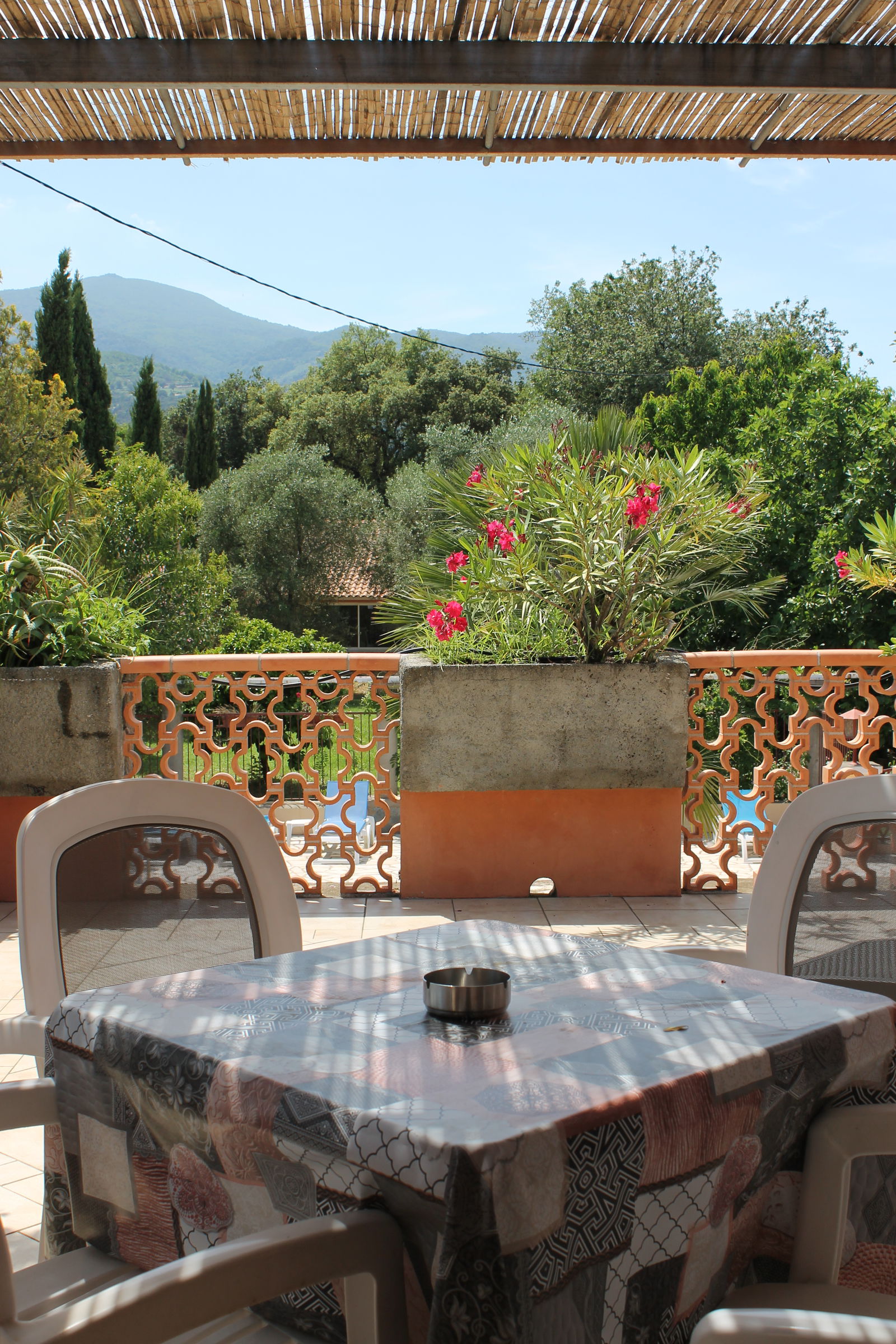 Tutta La Casa Venzolasca 51574