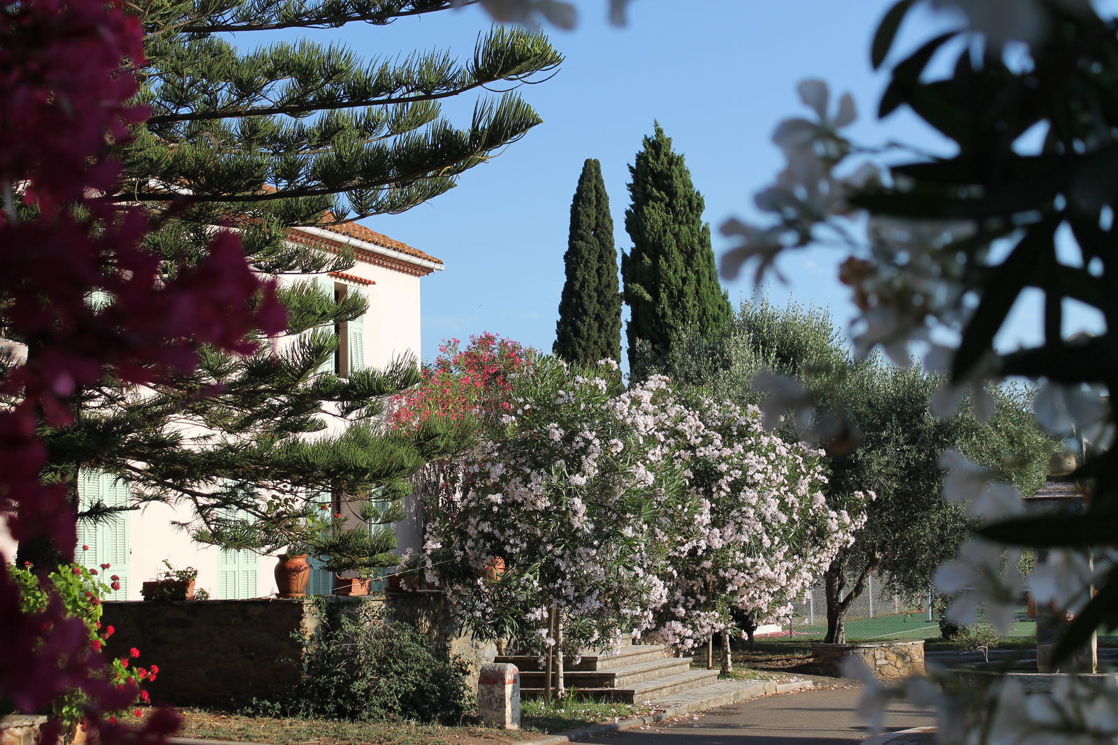 Camere Per Gli Ospiti Venzolasca 51607