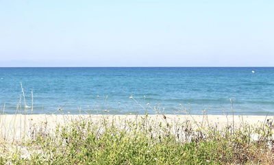 Camere Per Gli Ospiti Venzolasca 51607