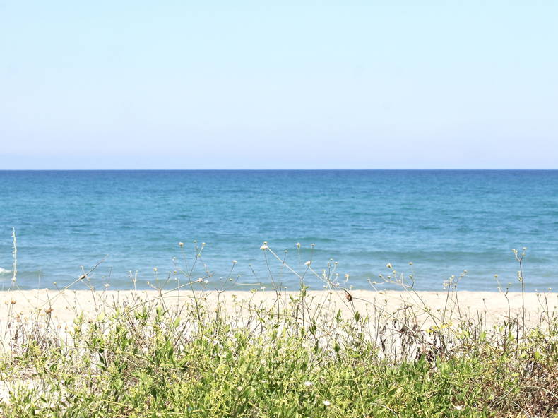 Toda La Casa Venzolasca 51574-3