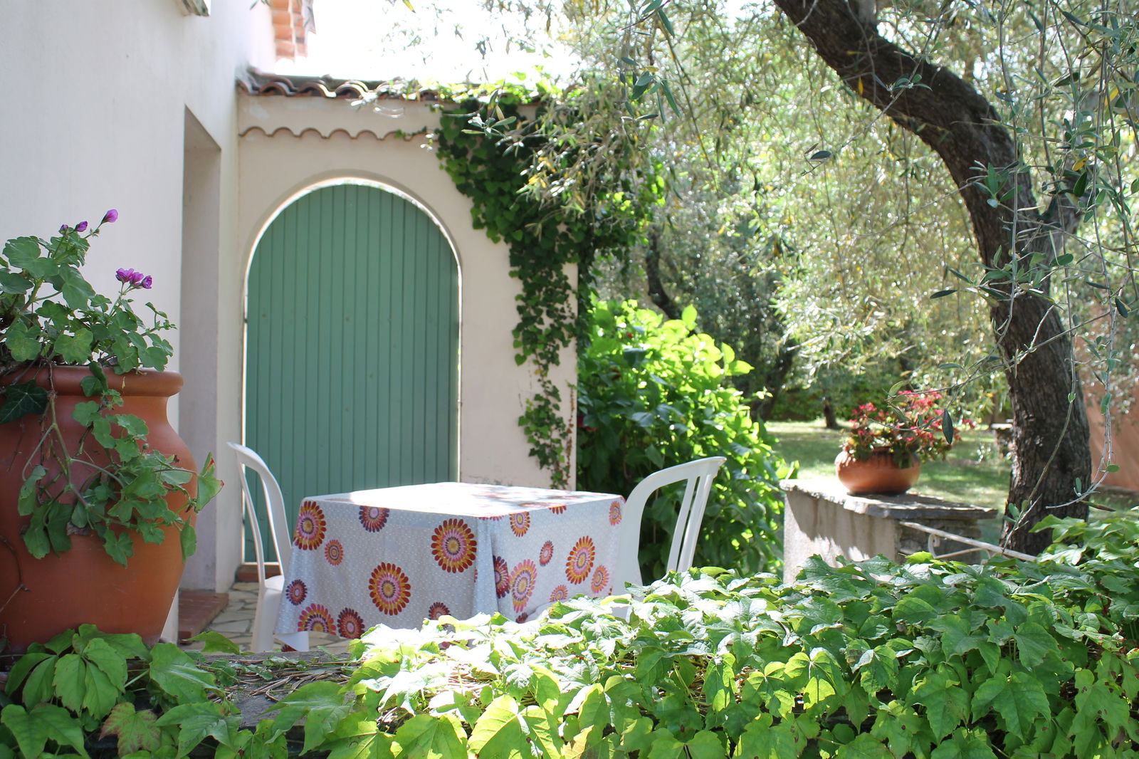 Camere Per Gli Ospiti Venzolasca 50769