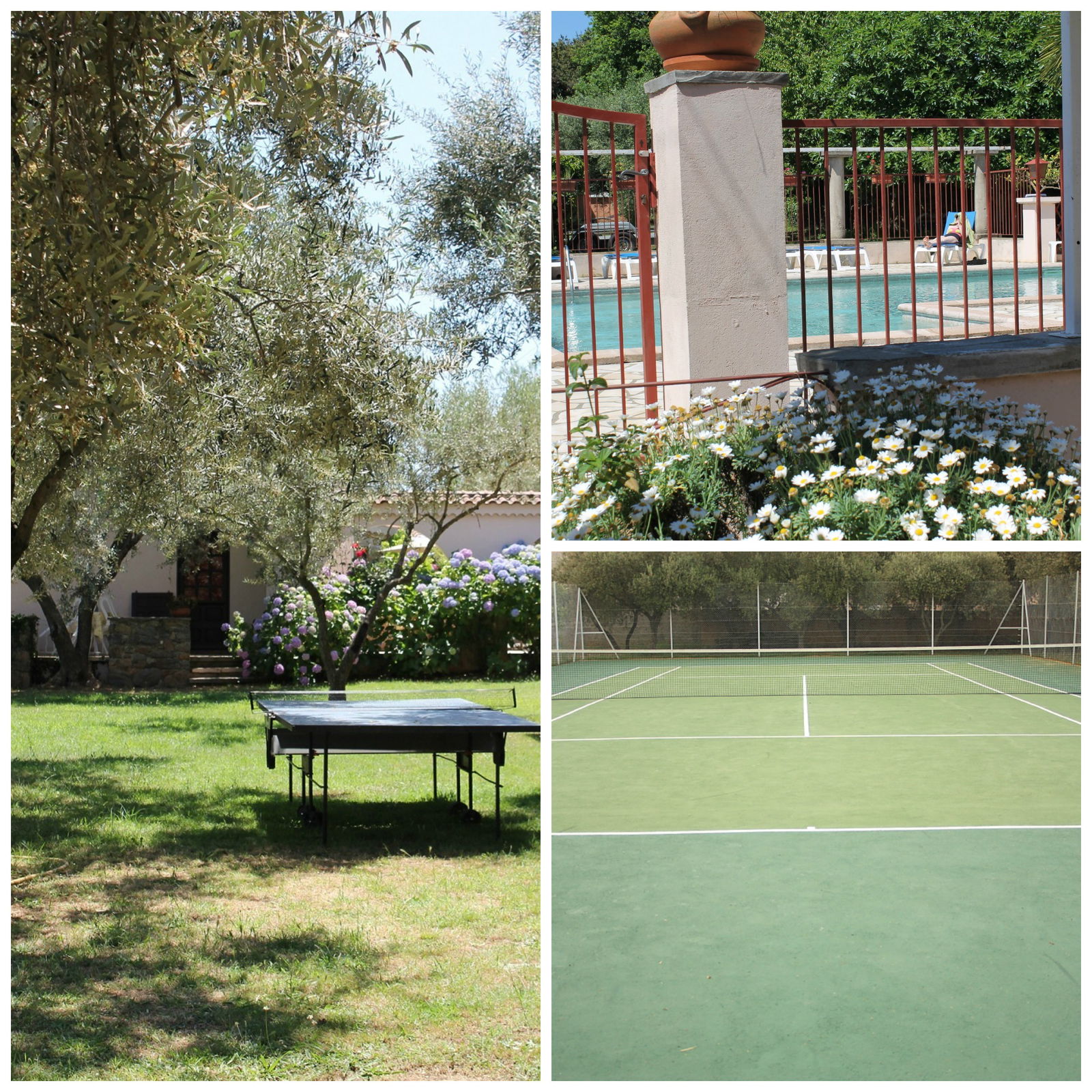 Camere Per Gli Ospiti Venzolasca 50769