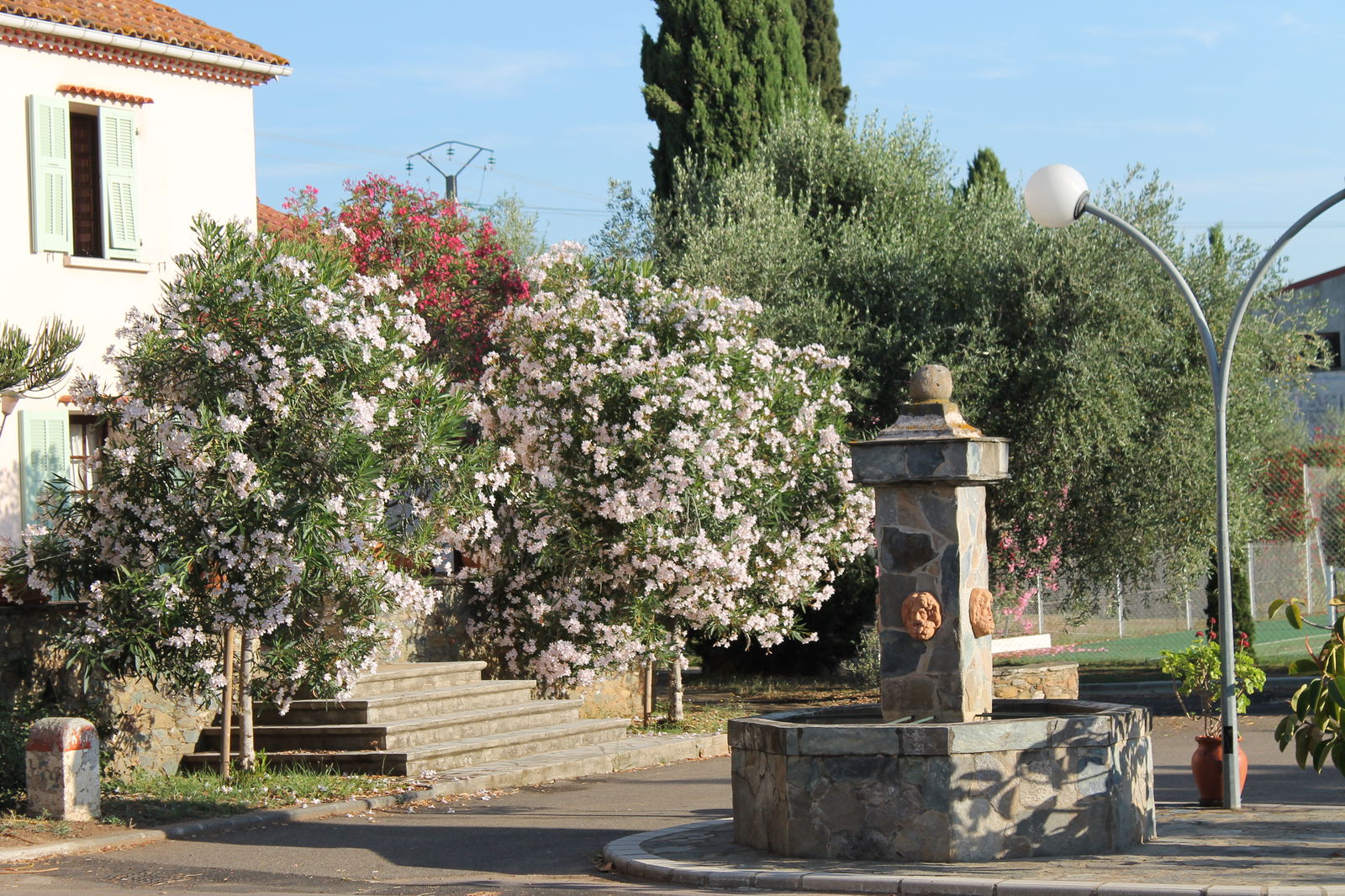 Bed And Breakfast Venzolasca 50769