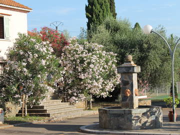 Chambre D'hôte Venzolasca 50769-7