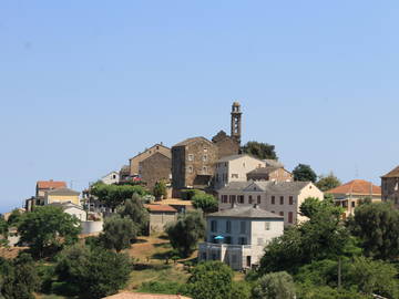 Chambre D'hôte Venzolasca 50769-9