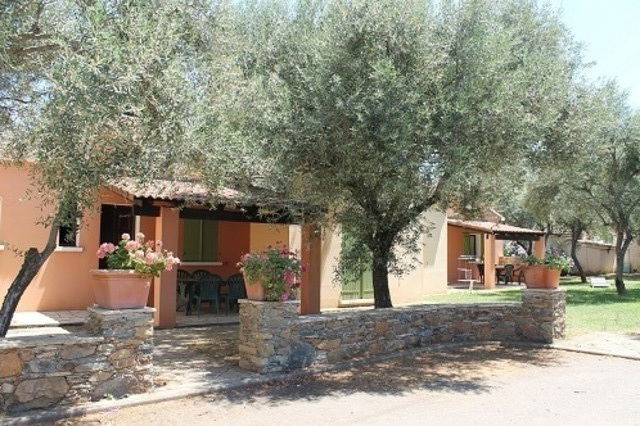 Independent Studio Venzolasca 51601
