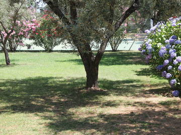 Logement Entier Venzolasca 51601-8