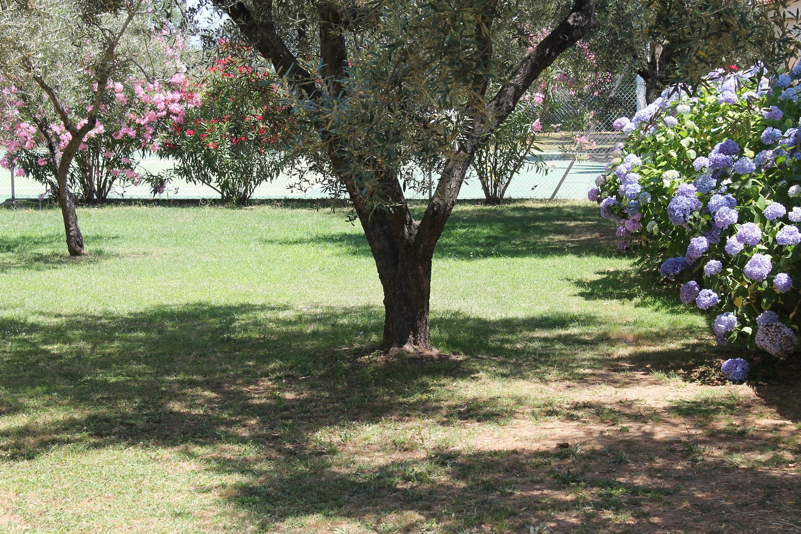 Tutta La Casa Venzolasca 51601