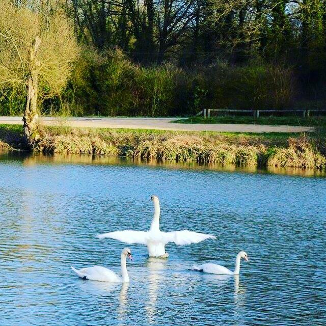 Homestay Liverdun 229553