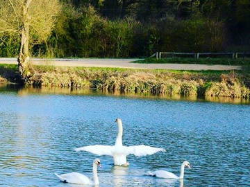 Chambre Chez L'habitant Liverdun 229553-12