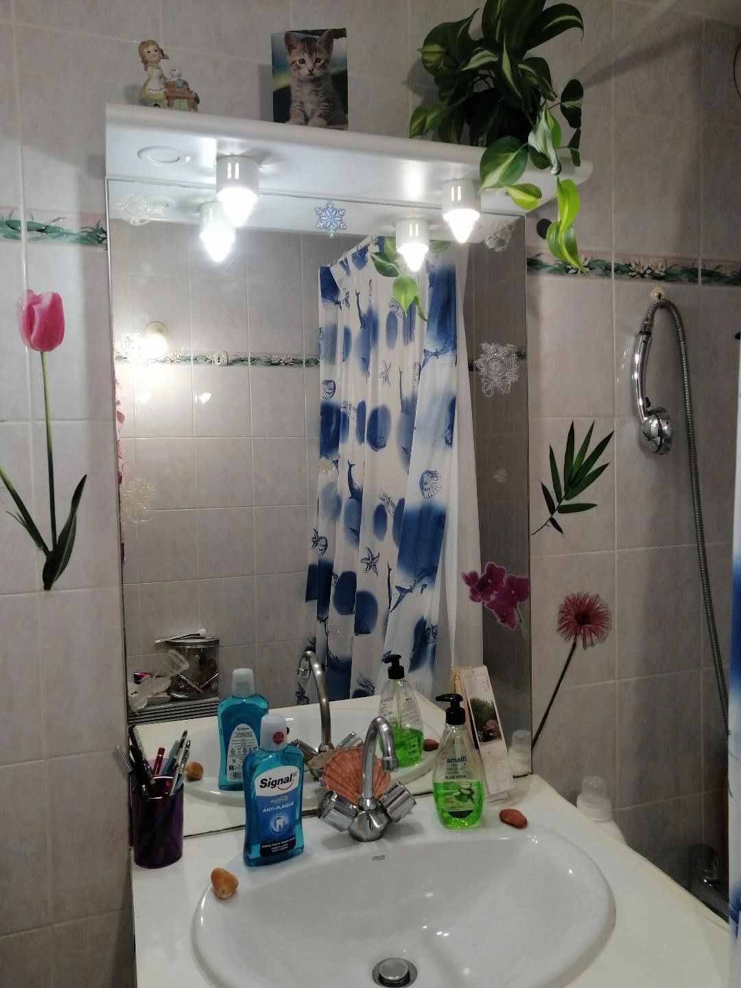 Homestay Bordeaux 268055