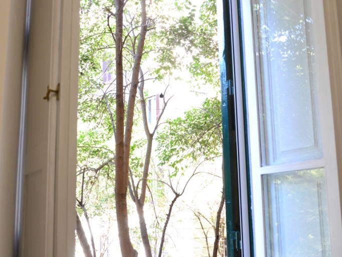 Toda La Casa Roma 187682-2