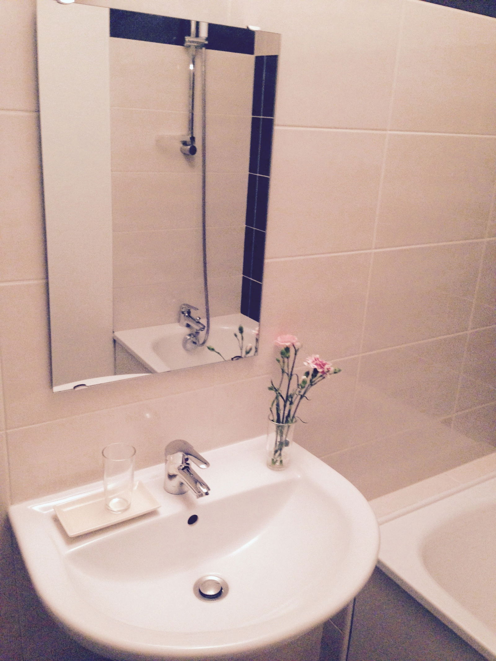 Homestay Lyon 172205